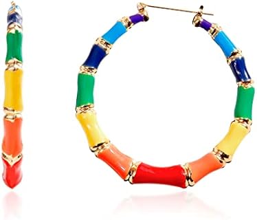 Stylish Rainbow Bamboo Hoop Earrings in Alloy Steel with Hinged Hoop for Women - LGBT Pride Supportive Jewelry