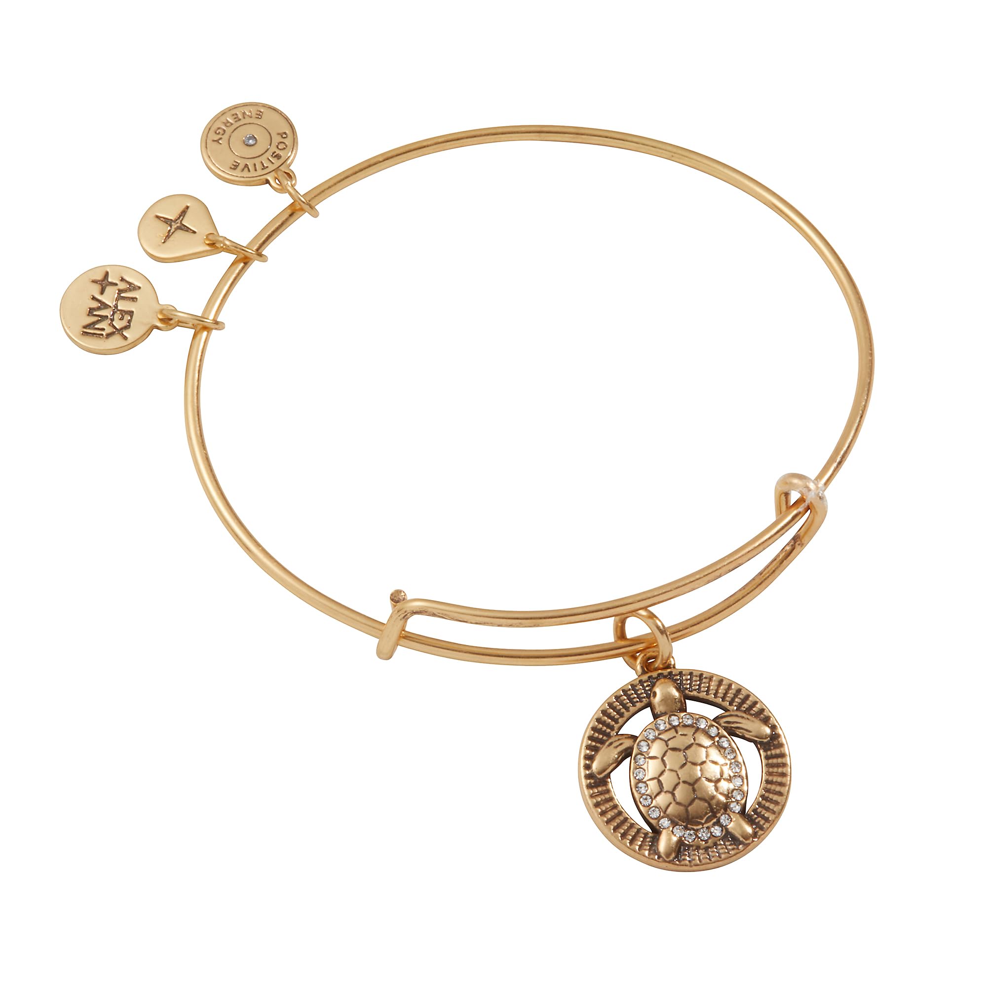 Alex and Ani Turtle Charm Bangle Bracelet, Shiny Gold Finish, 2 to 3.5 in