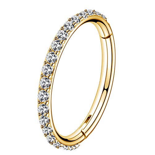 OUFER Gold Hinged Segment Earring Hoop 16G Stainless Steel with Cartilage Earrings Clear CZ Paved Tragus Helix Earrings Cartilage Earring Septum Nose Ring Hoop