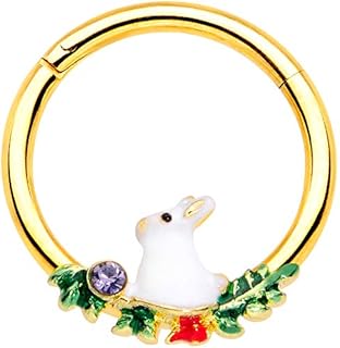 Body Candy Womens 16G PVD Steel Hinged Segment Ring Seamless Cartilage Nipple Ring Rabbit Nose Hoop 3/8"