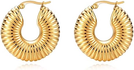 MYNENEY Croissant Earrings Twisted Round Hoop Earrings Chunky Hoop Earrings Silver/Gold Post Earrings Huggies for Women Girl Great Birthday/Christmas Gifts