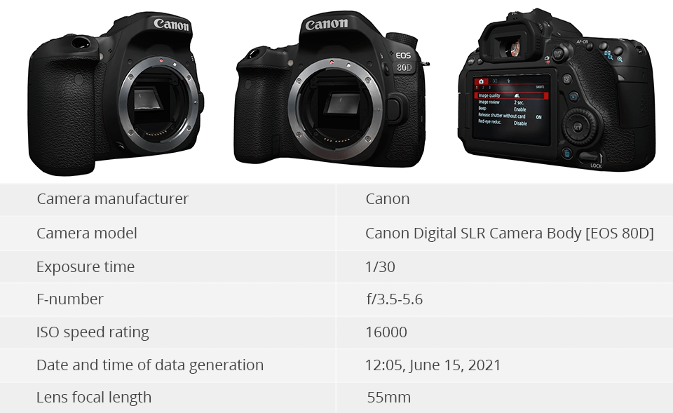 Inside the Clicks: Understanding the Role of Shutter Count in Buying a Used Camera