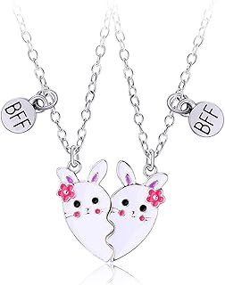 Hifot Collier d'Amitié pour 2 avec Coeur Séparable en Argent, Taille Ajustable de 52 cm pour BFF, Cadeau Idéal Anniversaire Fille, Sœur, Fabriqué en Chine