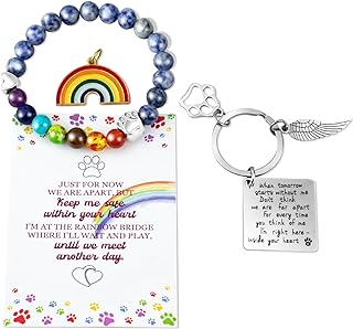 BEABOY Pet Memorial Charm Bracelet in Gold Metal with Mixed Color 8MM Bead Chain for Adults, Rainbow Bridge Sympathy Gift Design for Loss of Dog or Cat