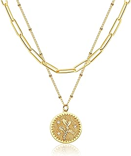 Layered Birth Flower Coin Necklace for Women 18K Gold Plated Double Layered Engraved Custom Floral Pendant Necklaces Dainty Birth Month Flower Disc Coin Necklace Personalized Jewelry Gift for Her