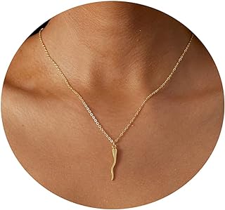 MIDEEO Dainty Gold Coin Medallion Star of David Lightning Bolt Pendant Necklaces for Women CZ Evil Eye Hamsa Hand Necklace Italian Horn Cornicello Necklace Minimalist Everyday Jewelry Gifts