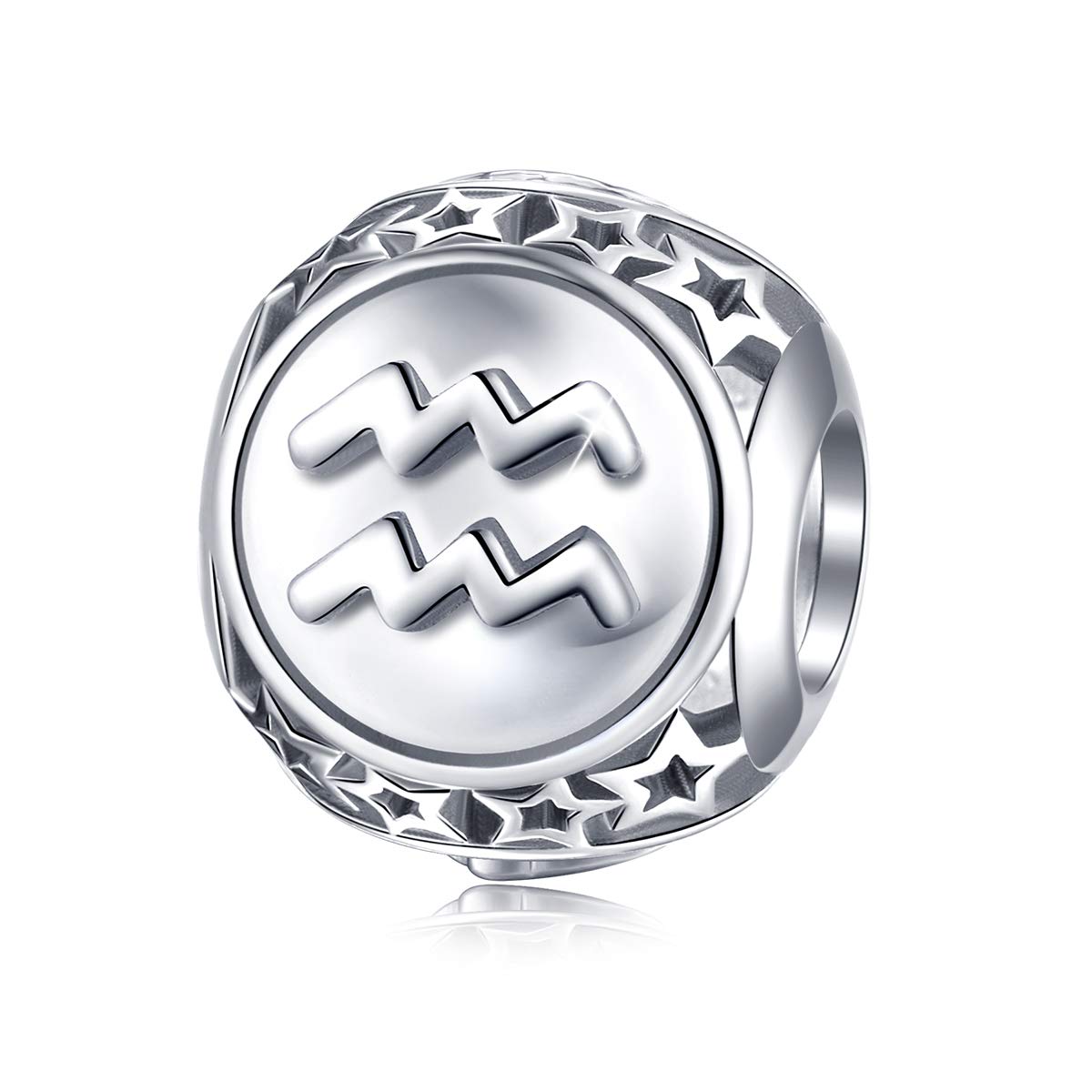 FOREVER QUEEN Zodiac Sign Charm fit Charms Bracelet, 925 Sterling Silver Plated Platinum Star Bead Charm 12 Horoscope Constellation Charm for Bracelet and Necklace, Birthday Gift
