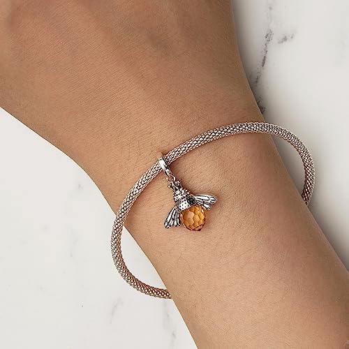 Butterfly Dragonfly Cat Charm for Bracelet Cute Animal Collection Bead & Charm for Women Girls 925 Sterling Silver Pendant & Dangle Charm Jewelry for Bracelet and Necklace