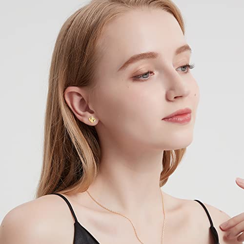 14K Gold Plated Love Knot Earrings for Women and Girls Gold Stud Earrings Hypoallergenic Earrings for Men
