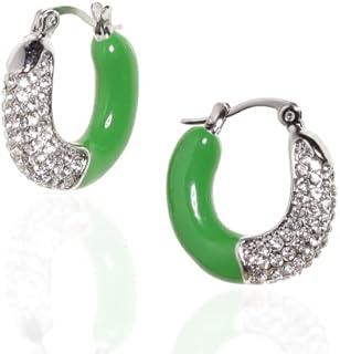 Hinged Hoop Sonateomber Horseshoe Hoop Earrings - Stainless Steel, Cubic Zirconia Embellished, Chunky Enamel U-Shape Hoops for Women and Girls - Unique Design Jewelry Piece