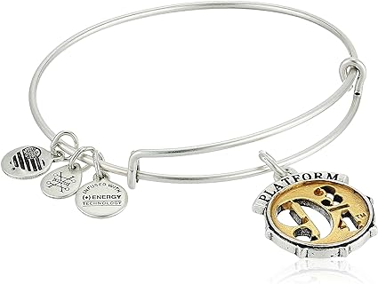 Alex and Ani Harry Potter Platform Two Tone Bangle Bracelet