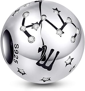 Round Clasp Silver Zodiac Charm Bracelet - Sterling Silver NINGAN 12 Astrological Signs - Perfect Birthday Gift for Female Friends