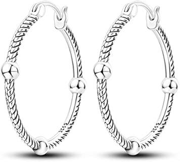NARMO 925 Sterling Silver Hoop Earrings for Women Hypoallergenic Lightweight Simple Huggie Hoop Earrings Twisted Hoop Earrings Colorful Cubic Zirconia Hoop Earrings Cute Sloth Earrings for Girls