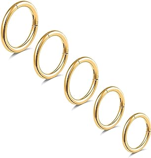 5Pcs G23 Titanium Nose Rings 16G/18G/20G Hinged Clicker Segment Nose Rings Hoop Lip Septum rings Multi-Color Tragus Cartilage Sleeper Earrings 6mm 7mm 8mm 9mm 10mm Hypoallergenic Nose Rings for Women Men