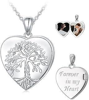 Compass Designed Sterling Silver Locket with C-Link Chain & Lobster Clasp for Women, Love Heart Photo Pendant / Tree of Life / Sunflower