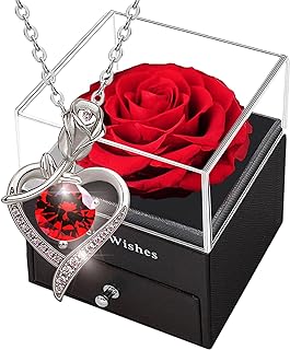 Enchanted Forever Preserved Rose & 925 Sterling Silver Necklace Gift Box - Box Chain with Heart-Shaped Crystal Rhinestone Pendant for Women, Valentine's Day/Anniversary/Romantic Gift