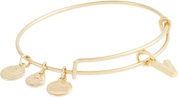 Alex and Ani Initial V III Bangle Bracelet