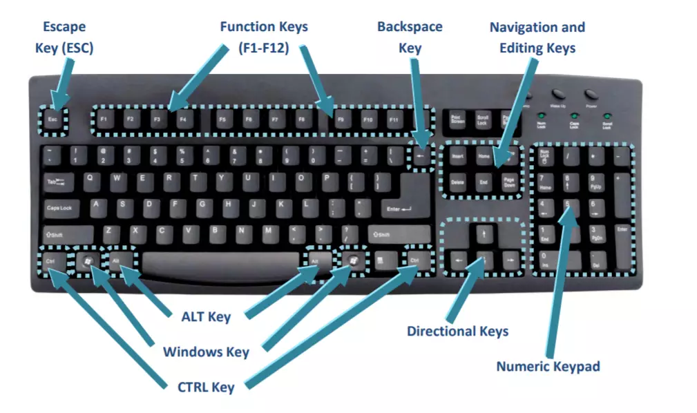 Keyboard Shortcuts Decoded: Selecting an Entire Document And More