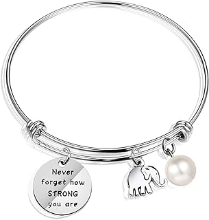Caiyao Women's Stainless Steel Elephant Bangle Bracelet with Box Chain & Buckle Clasp, Alloy Elephant Charm, Inspirational Disc - Perfect Gift for Birthdays, Mother's Day, and More