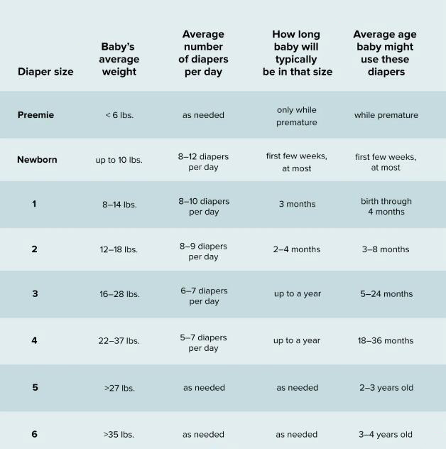 The Diaper Size Guide: What Size Diapers Are Babies in the Longest?