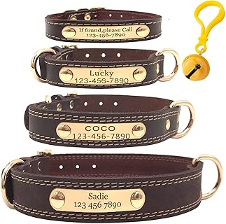 Collier personnalisable Mihqy en cuir avec gravure laser du nom et numéro de téléphone, ajustable pour petites, moyennes et grandes races, idéal pour toutes les étapes de vie
