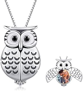 MEDWISE Locket Necklace That Holds Pictures 925 Sterling Silver Cute Wisdom Owl Style Photo Locket Necklace Gifts for Women Girls,3/4 Inch X 3/4 Inch- Includes 18 inch Box Chain