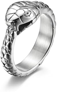 Endless Cycle Ouroboros Snake Ring in Stainless Steel for Men - Size 8