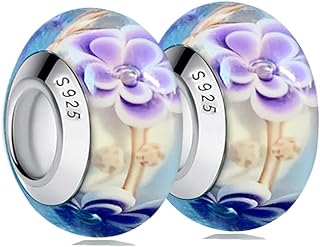 2Pcs Murano Charms for Pandora Bracelets 925 Sterling Silver Charms for Bracelets Glass Beads Jewelry