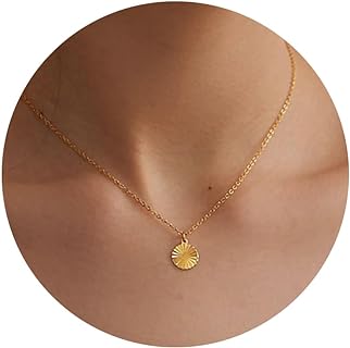 Gold Necklace for Women-14K Gold Plated Medallion Sun Hoop Chilli Humming Bird Pendant Dainty Gold Necklace 16.5”+2” ext