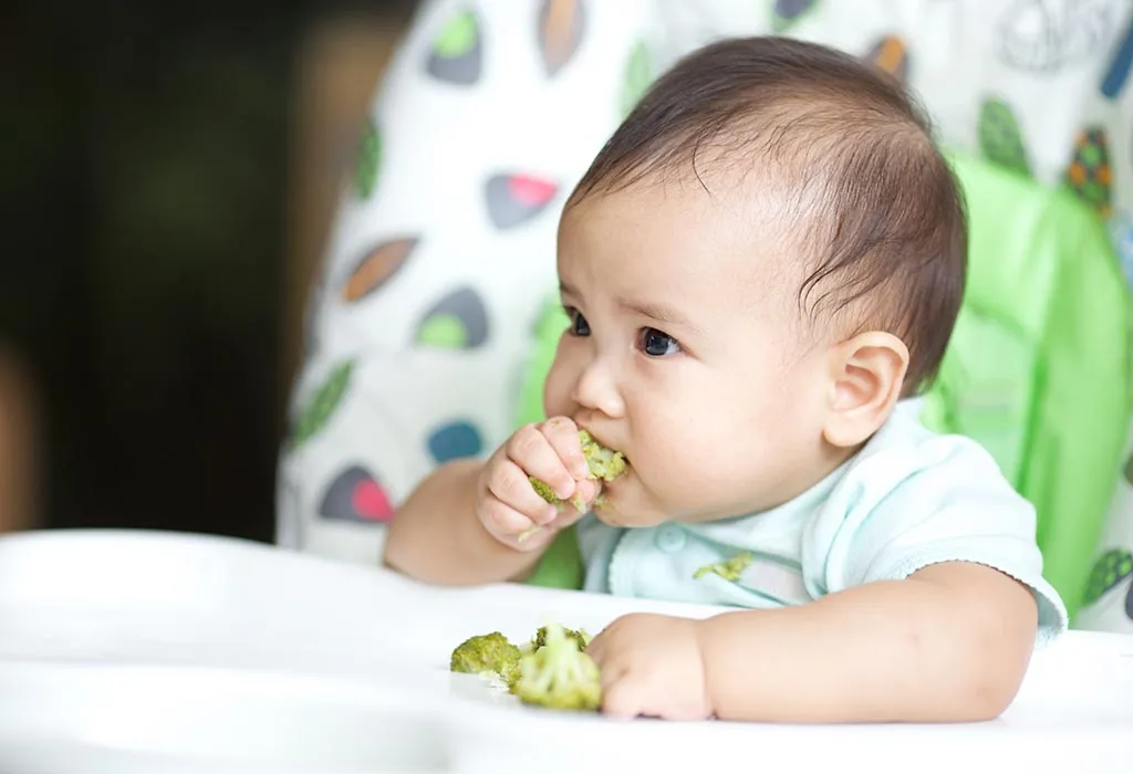 The Nutritional Stages: When Is the Right Age for Stage 3 Baby Food?