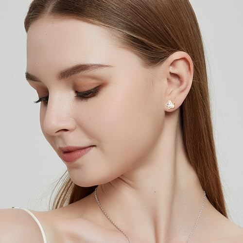 3 Pairs Star Moon Stud Earrings for Women and Men, Hypoallergenic Stud Earrings Set for Girls, Trendy Simple Earrings Jewelry Cubic Zirconia-Silver/Gold