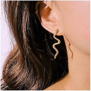 Punk Snake Drop Dangle Earrings Silver Snake Studs Earrings Long Serpent Earrings Gothic Animal Earrings Vintage Earrings Jewelry for Women and Girls Gifts