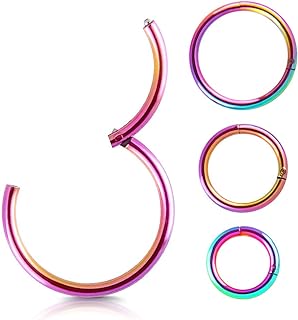 4Pcs 16G 18G 20G Surgical-Steel-Piercing-Ring-Nose-Rings-Hinged-Hoop-Earrings,6mm 8mm 10mm 12mm Seamless Stainless Steel Clicker Eyebrow Septum Piercing Hoop,Sliver Black Gold Rose Gold Rainbow Body Jewelry Set