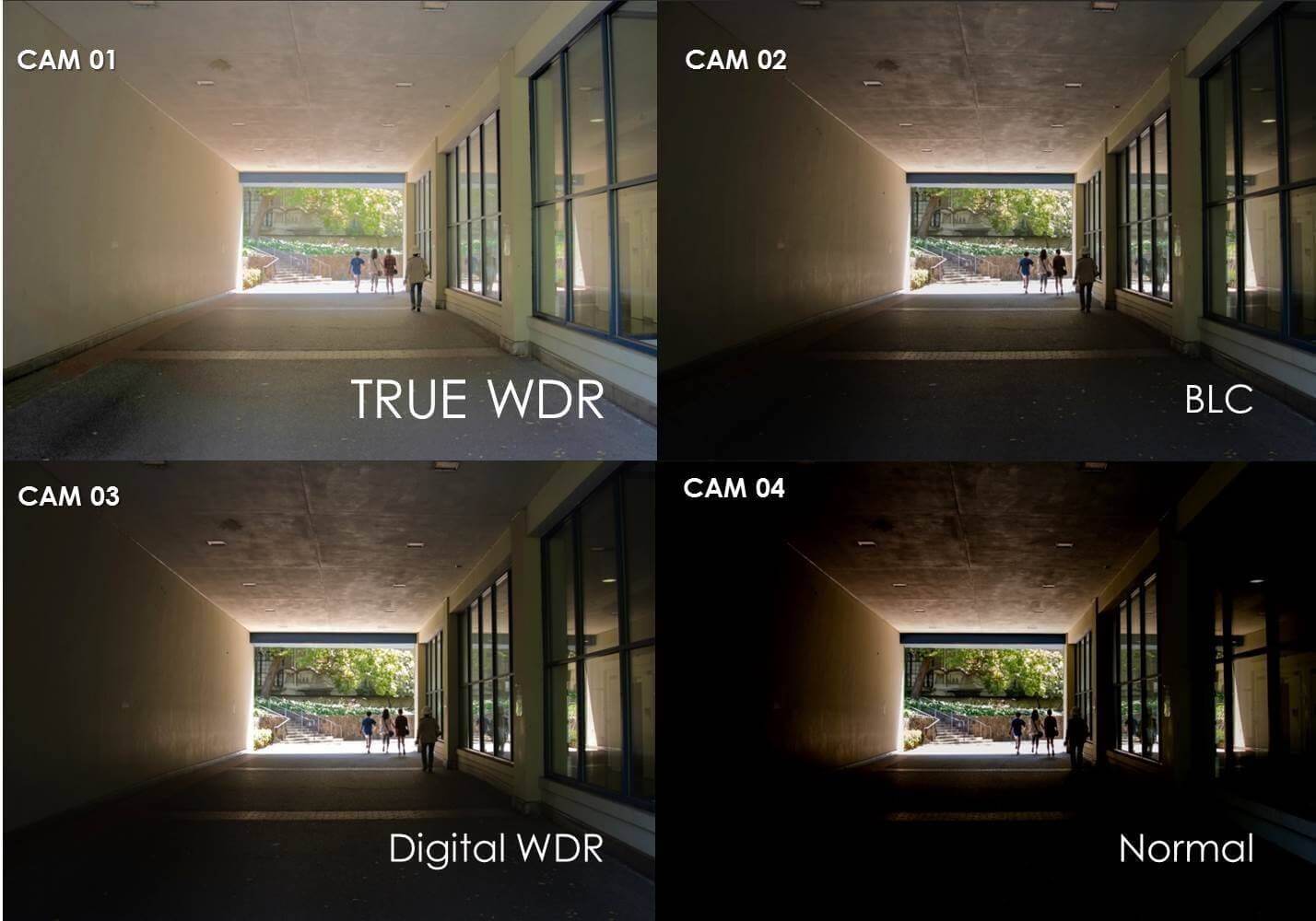 Unlocking the Mystery of Wdr in Cameras: A Comprehensive Guide