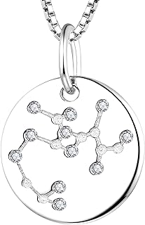 YL Women's Constellation Jewelry Sterling Silver Zodiac Necklace Astrology Coin Disc Horoscope Pendant