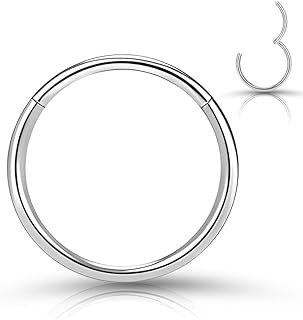 LovePiercing Nose Rings Hoops 316L Surgical Steel Hypoallergenic Septum Ring For Women Men Cartilage Hoop Earring 20G/18G/16G,Diameter 6mm to 12mm Silver/Gold Plated Color